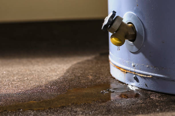 Westminster, CO Water damage restoration Pros