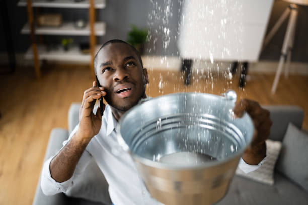 Best Water damage restoration services  in Westminster, CO