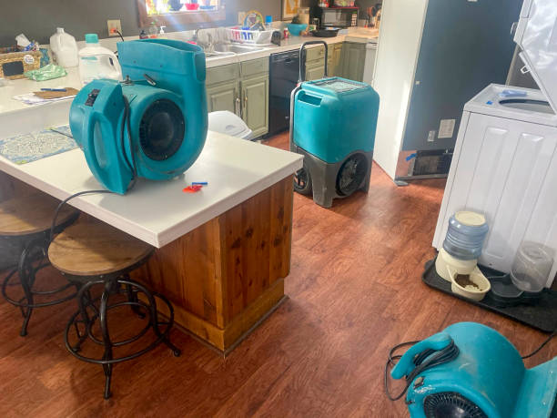 Best Emergency water damage restoration  in Westminster, CO