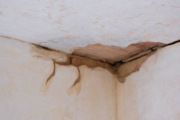 Best Residential water damage restoration  in Westminster, CO