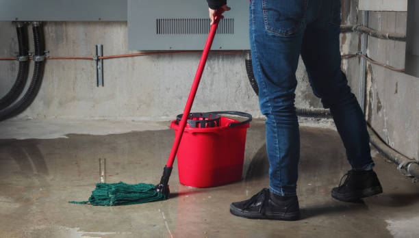 Best Sewage cleanup and water damage restoration  in Westminster, CO
