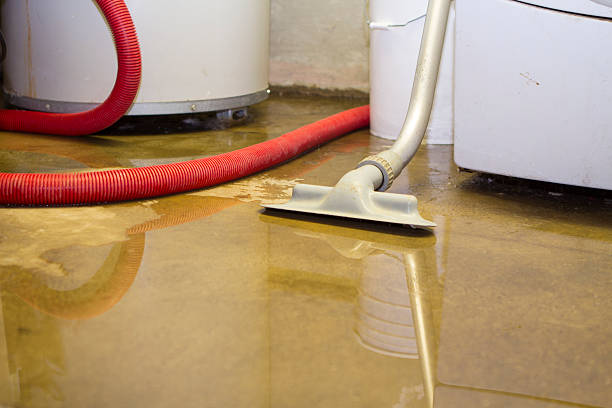 Trusted CO Water damage restoration Experts