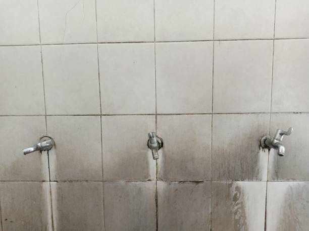 Trusted CO Water damage restoration Experts