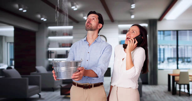 Best Basement water damage restoration  in Westminster, CO